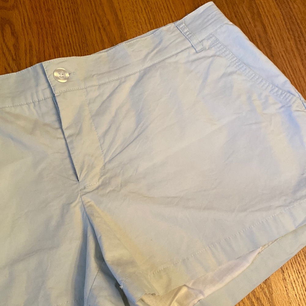 Lauren James Poplin Mint Green Lined Shorts - Size XLarge
